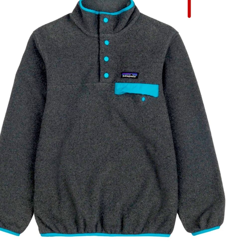 synchilla patagonia Jacket